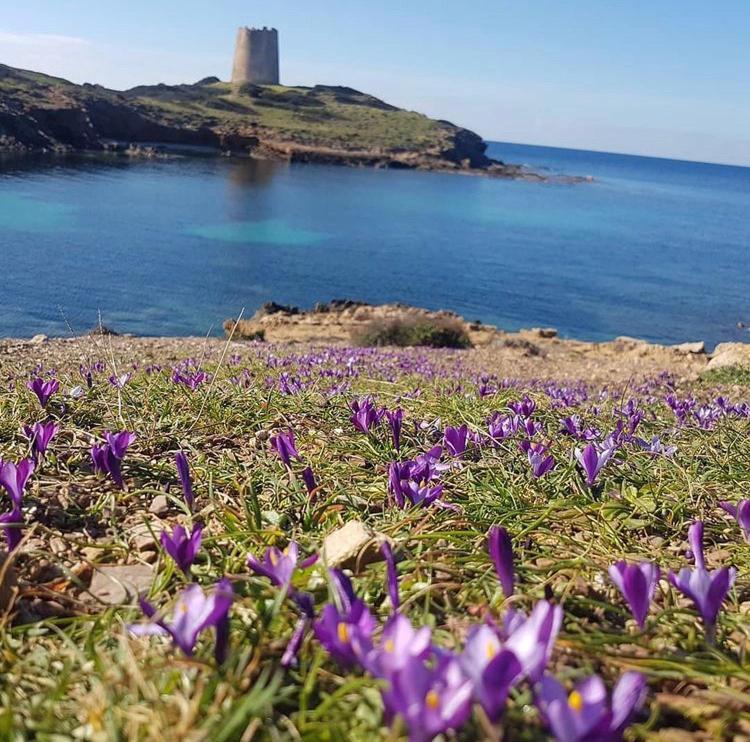 Domus Deiana Case Vacanza San Giovanni Suèrgiu Esterno foto