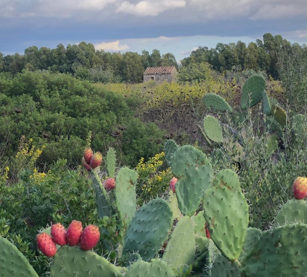 Domus Deiana Case Vacanza San Giovanni Suèrgiu Esterno foto